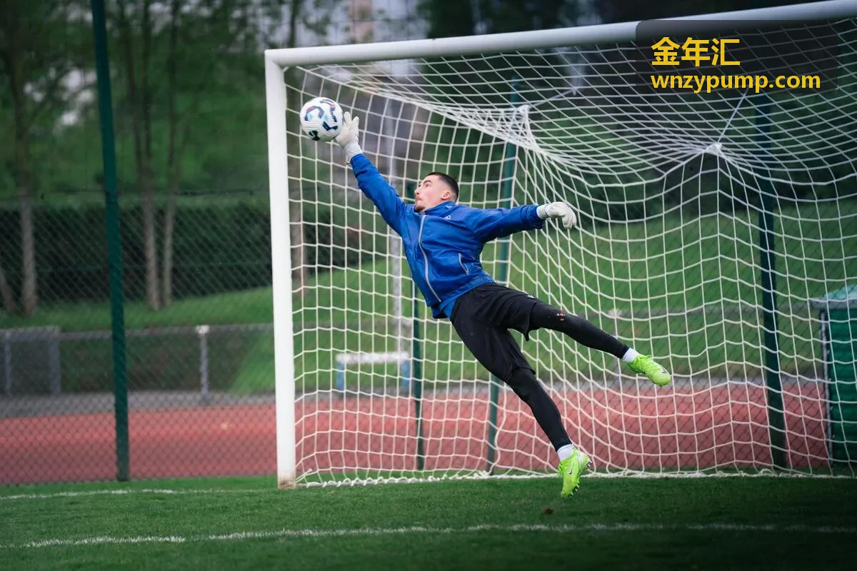 金年汇改造实施